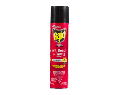 Raid Ant + Roach + Earwig 350 Gr - 01725