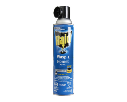 Raid Wasp & Hornet Killer 400 Gr - 01776