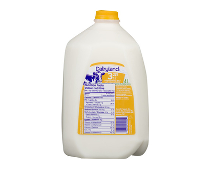Dairyland Homo Milk Jug 4 Lt - 01100