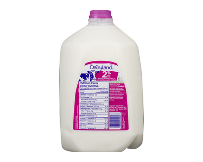 Dairyland 2% Milk Jug 4 Lt - 01101