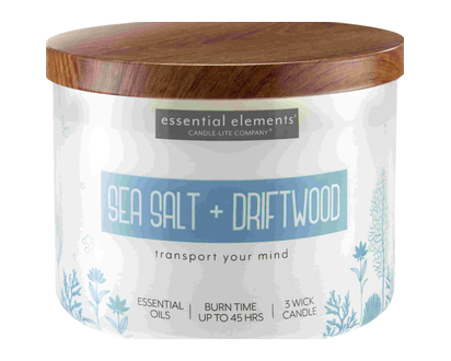 Ess Elmts 3 Wick Jar Salt & Dwood 14.75 Oz - 39584