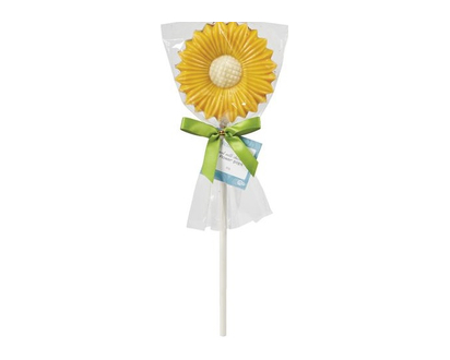 Rose & Robin Flower Pops 1 Un - 88033